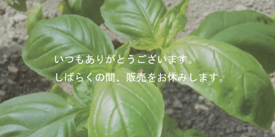 オーガニック野菜セット