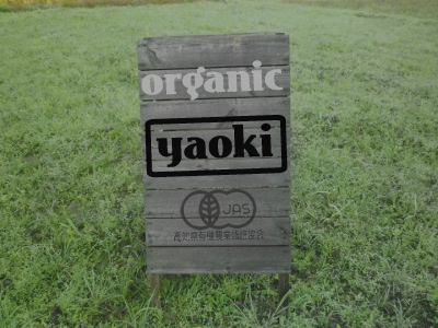 YAOKI YAOKI